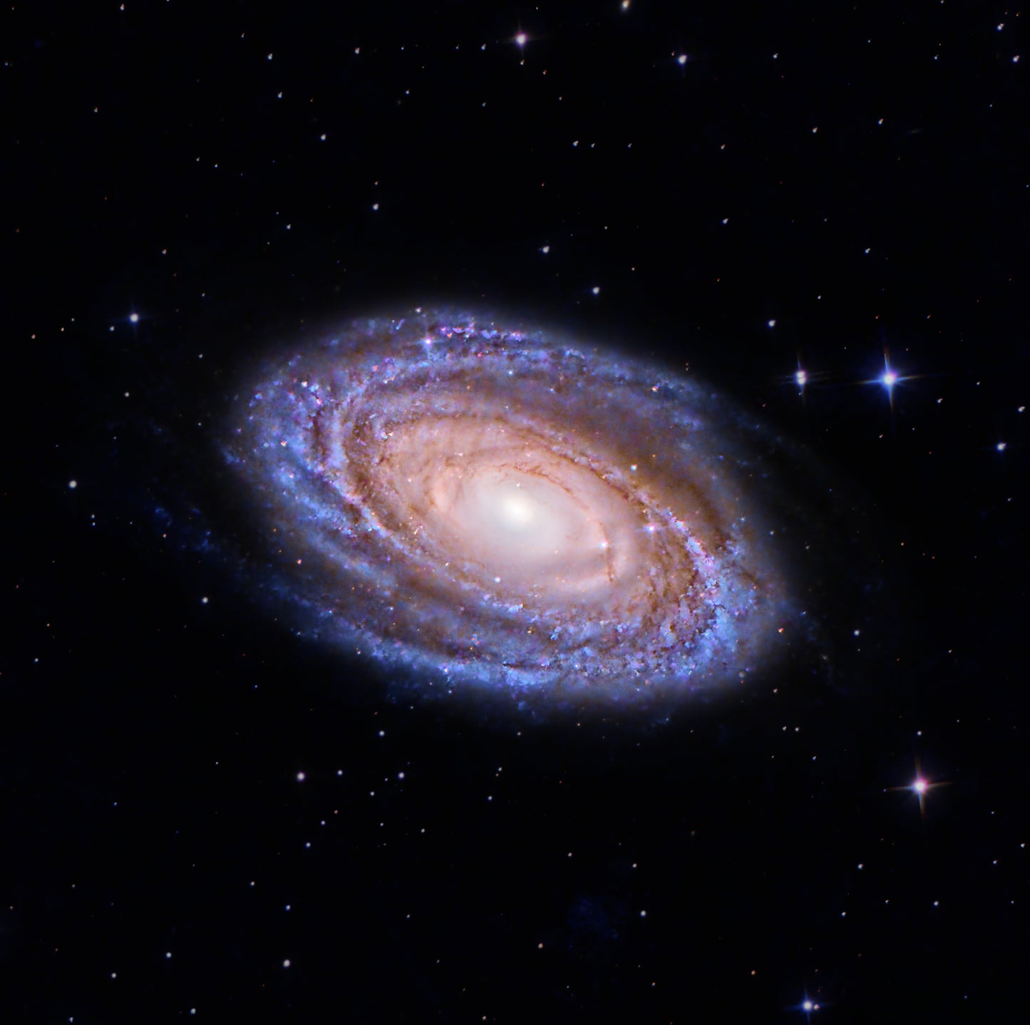 M81 Bodes Galaxy - Metal Print