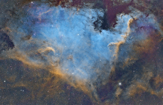 NGC 7000 The North American Nebula - Metal Print